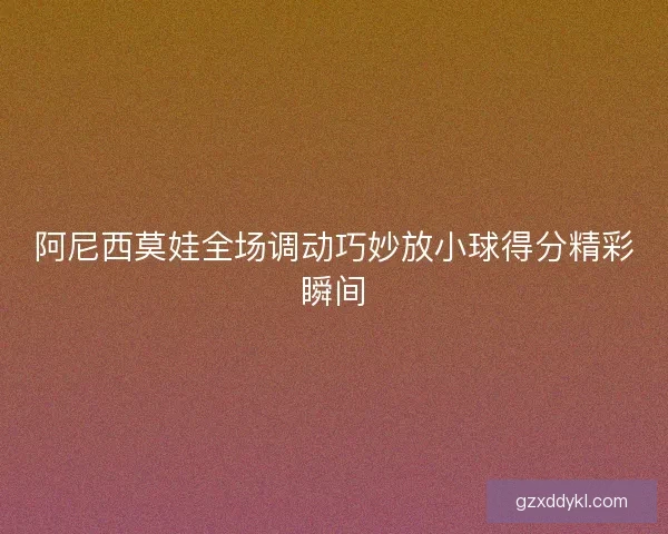 阿尼西莫娃全场调动巧妙放小球得分精彩瞬间