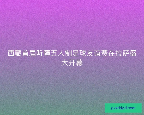 西藏首届听障五人制足球友谊赛在拉萨盛大开幕