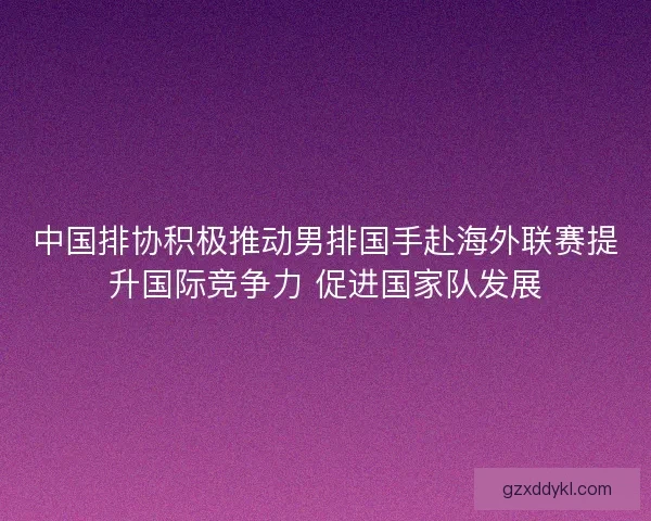 中国排协积极推动男排国手赴海外联赛提升国际竞争力 促进国家队发展