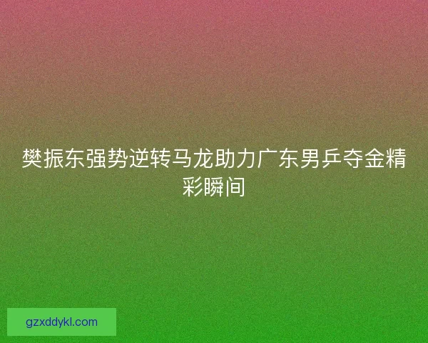 樊振东强势逆转马龙助力广东男乒夺金精彩瞬间